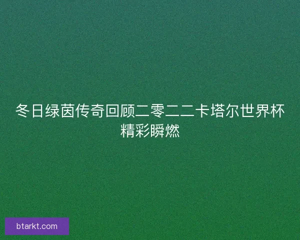 冬日绿茵传奇回顾二零二二卡塔尔世界杯精彩瞬燃